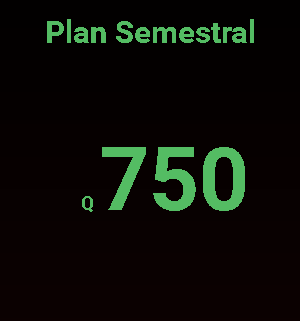 Plan Semestral